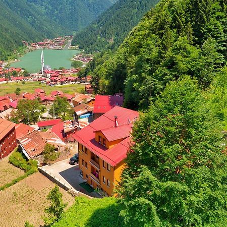 Auga Apart Uzungöl Εξωτερικό φωτογραφία
