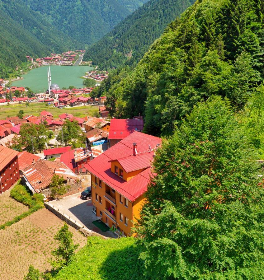 Auga Apart Uzungöl Εξωτερικό φωτογραφία