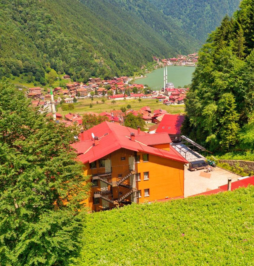 Auga Apart Uzungöl Εξωτερικό φωτογραφία